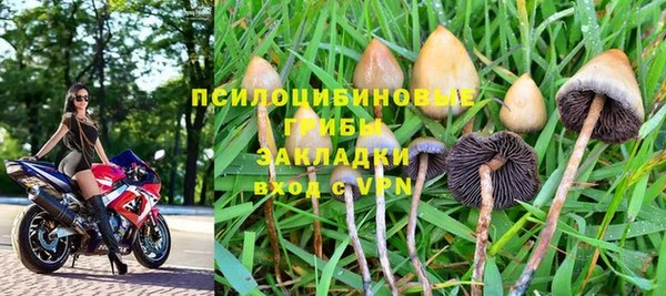 трава Армянск